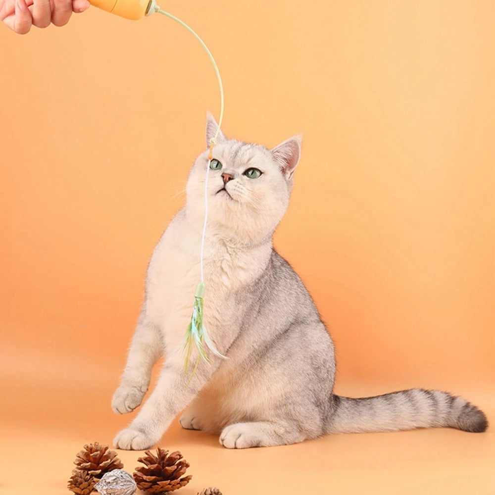 2 in 1 Pet Cat Toy