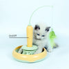 2 in 1 Pet Cat Toy