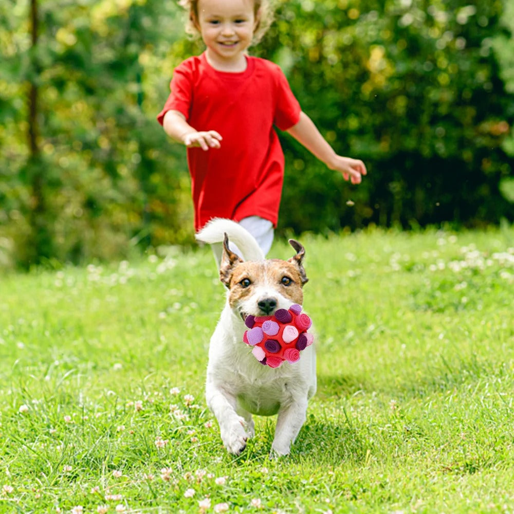 Dog Sniffing Ball Puzzle Toy